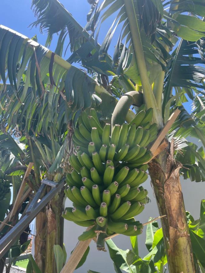 King'S Paradise Estreito Da Calheta Экстерьер фото